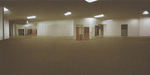 the backrooms but it's scarier
