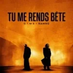 Gims - Tu Me Rends Bête (2)