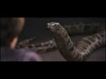 Harry Potter 1 - Serpent - Thanks - Harry - Anytime