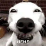 LOUD (copy)