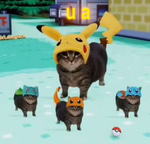 pokemon cat