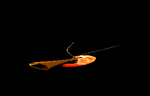 shrimp duet