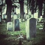 and thay ware so ugly