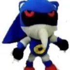 First day having a chicken