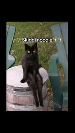 skitty noodle