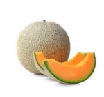 cantaloupe