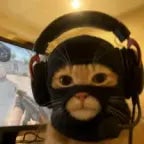 djungelvrål - Sound