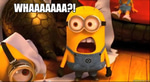 WHAT! minion