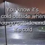 ai wolf walk - Sound