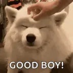 good boy - Sound