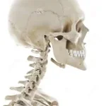 sexyback instrumental (copy?