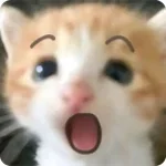 Teeken