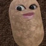 potato spelled backwards