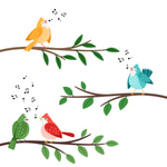 bird singing sound effect