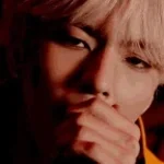 Bonjooouuur (Tropilax)