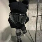 Bize payımızı verceksin