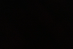 mr hopp jumpscare