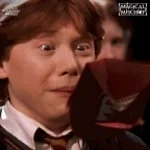 RONALD WEASLEY!