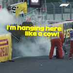 Nico Hulkenberg - i'm hanging here like a cow