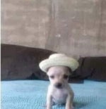 LXNGVX Montagem Mysterious Game (Sped up)