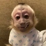 Ching Cheng Han Ji ( China Meme )( Meme Sound Effect )