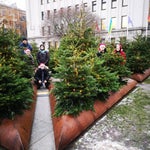 Fnaf 1 Full Jumpscare Sound