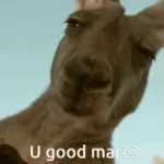 WHO ARE YOU MATE - Sound