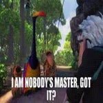 I am nobodys master MEME (RACIST BIRD)