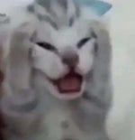 Mariah Carey but she needs to sneeze