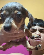 Milo j 3 pecados despues pt 1