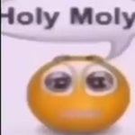 holy moly