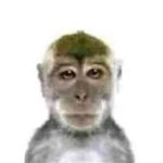 Stxlkin so bitter (Lyrics)