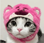 i want some fries and chicken - Sound