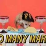 GIVE ME ONE MARGARITAS