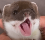 Stratosphere Outpost