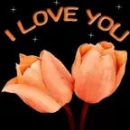 Tonight you belong to me