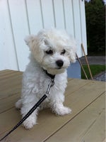 Every breath you take instrumental version