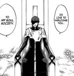 Aizen's Soul Soc