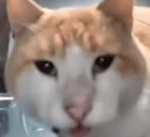 Donde esta el titan speakerman