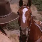 somos cavalos - Sound