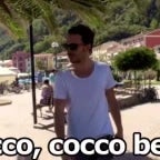 Cocco bello