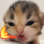 do ya like x renosance