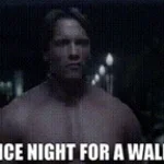 Nice Night For A Walk - Sound