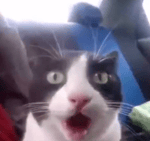 Whistle of El Silbón