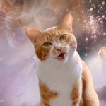 Hahe cat - Sound