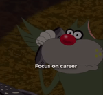 Focus on career