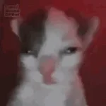 ima wallahi