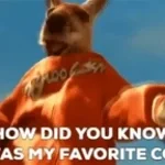 guess what my fav color is