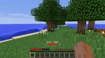 Minecraft - Hit 2
