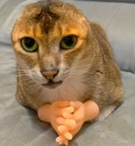 Bad to the bone part 2